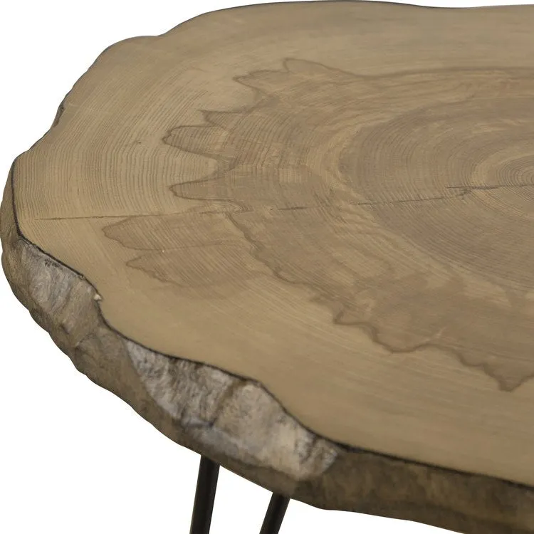 Runay Wood Slab Side Table by Matthew Williams